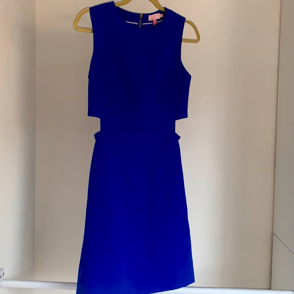 Ted Baker Blue cut out aline dress with pockets New w/out tags-Never worn size 2